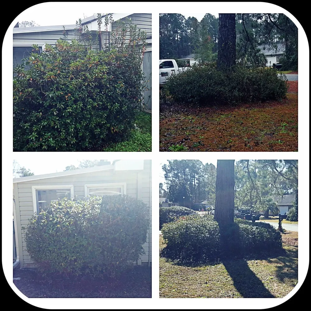 Expert outdoor landscaping in Myrtle Beach, SC - Above All Landscaping