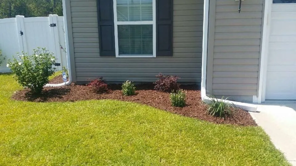 Top-rated yard cleanup service experts serving Myrtle Beach, SC - Above All Landscaping