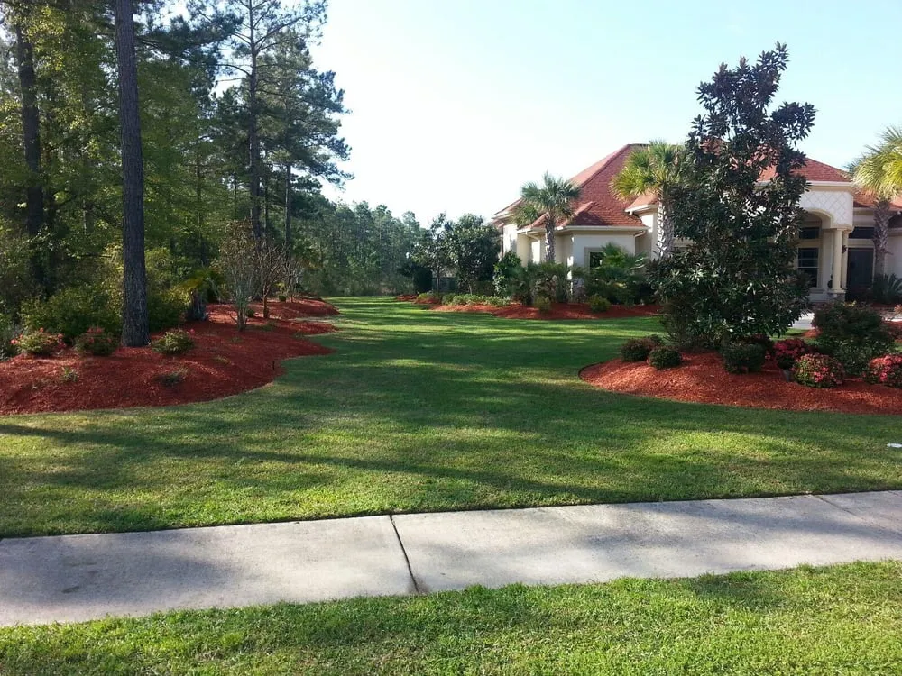 Top-rated yard cleanup service in Myrtle Beach, SC - Above All Landscaping
