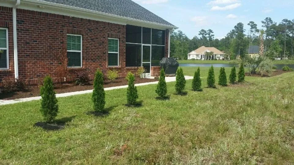 Top-rated landscape installation in Myrtle Beach, SC by Above All Landscaping