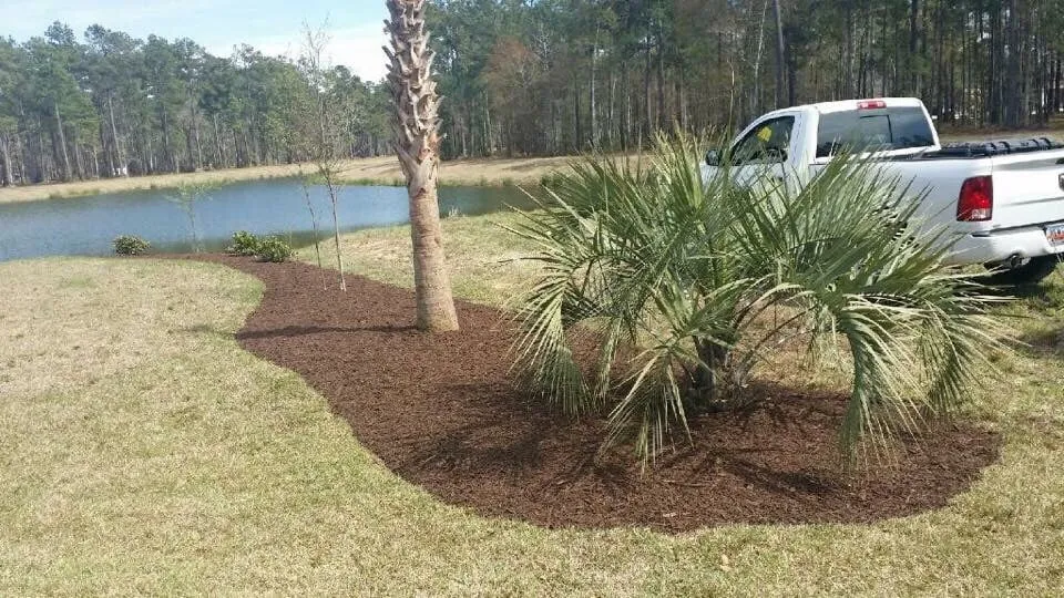 Top-rated lawn mowing service in Myrtle Beach, SC - Above All Landscaping