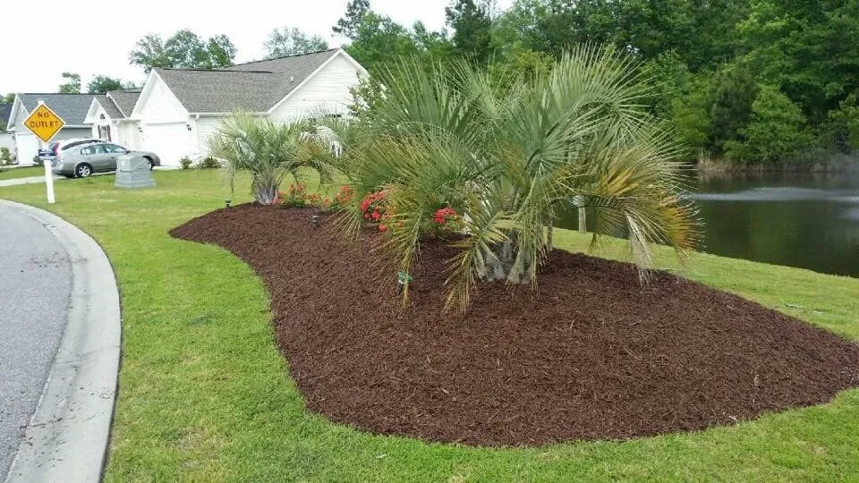 Professional outdoor landscaping for outdoor upgrades in Myrtle Beach, SC by Above All Landscaping