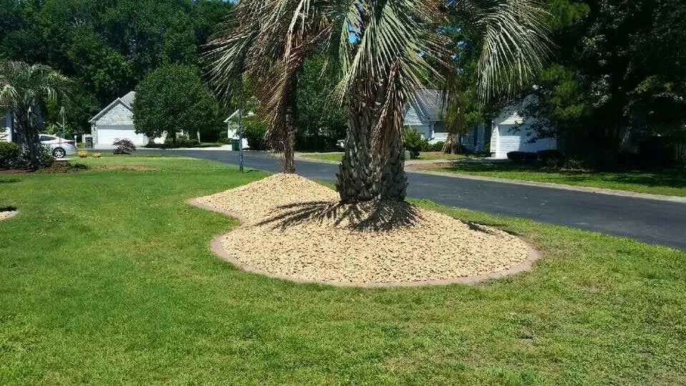 Reliable yard cleanup service in Myrtle Beach, SC by Above All Landscaping
