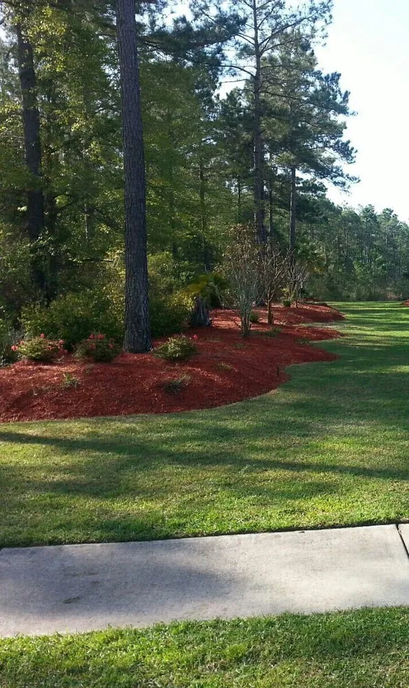Custom yard cleanup service in Myrtle Beach, SC - Above All Landscaping