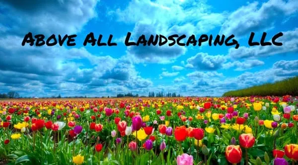Above All Landscaping Logo
