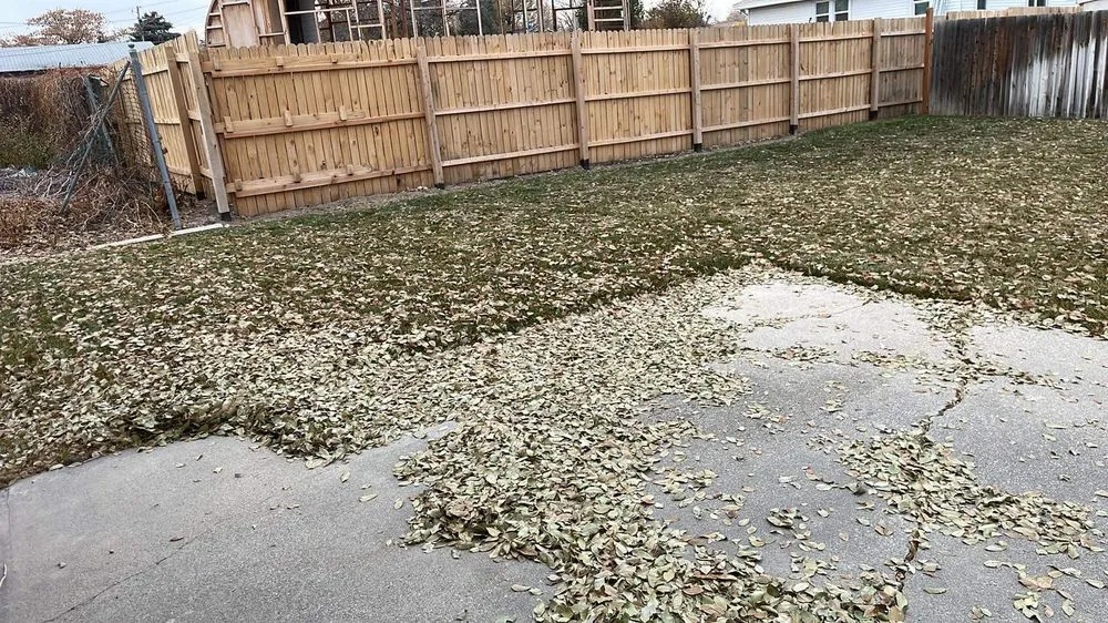 Professional landscape installation in Riverton, UT - Above All Landscaping