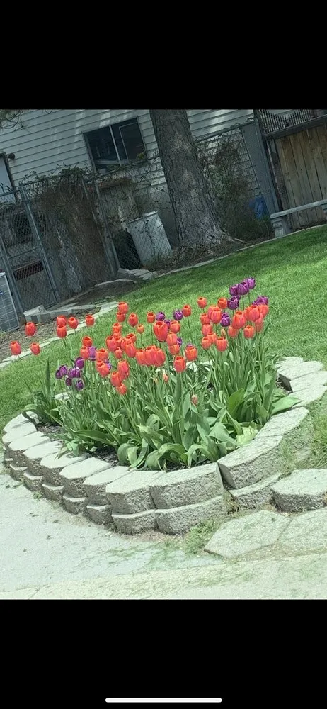 Affordable residential landscaping experts serving Riverton, UT - Above All Landscaping