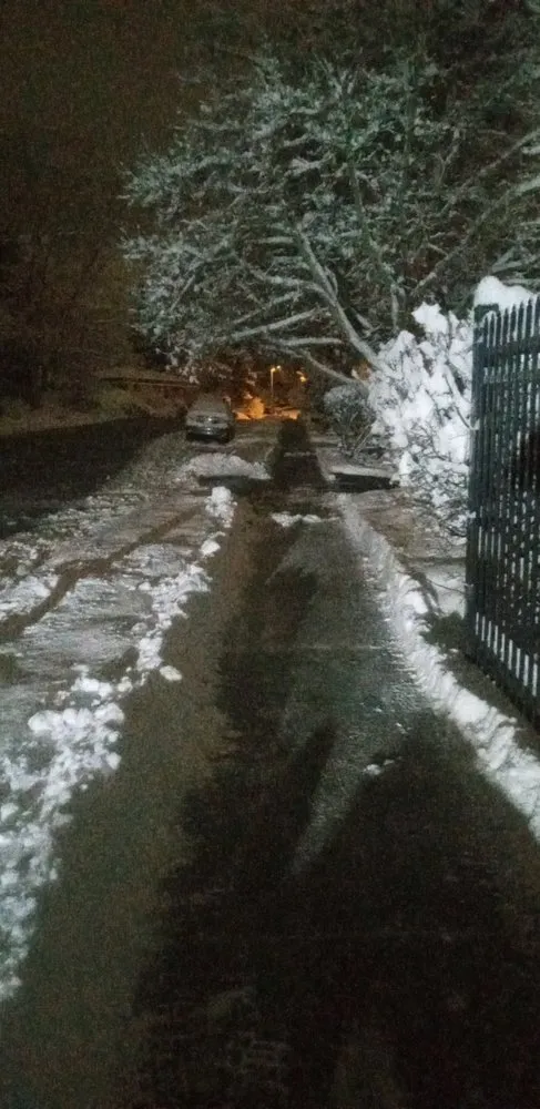 Trusted landscape installation experts serving Riverton, UT - Above All Landscaping