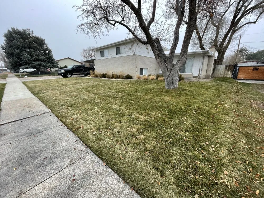 Expert yard maintenance near you across Riverton, UT - Above All Landscaping