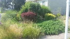 Reliable lawn care service in Somers Point, NJ - Above All Landscaping