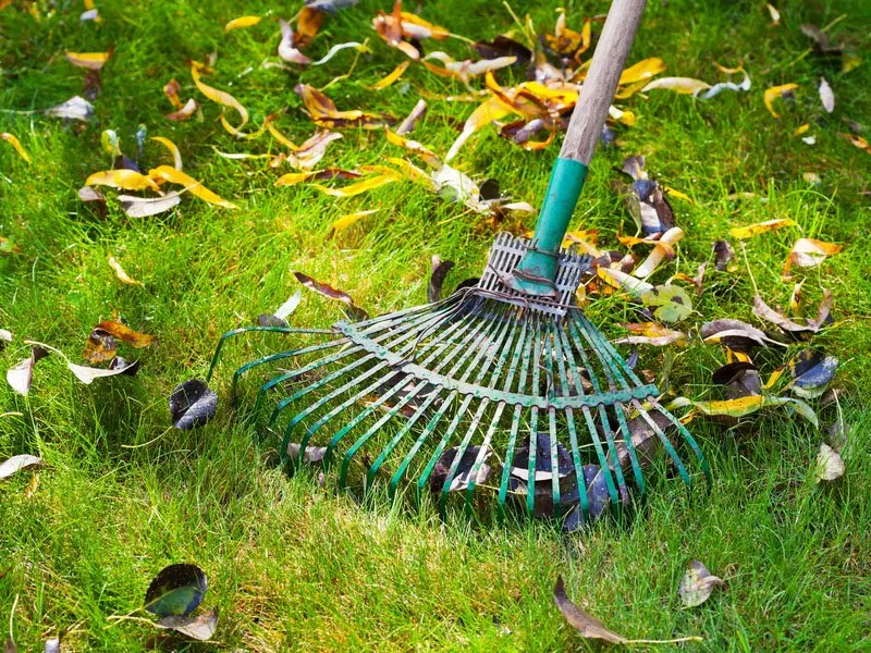 Affordable garden landscaping experts serving Spicewood, TX - Above All Landscaping