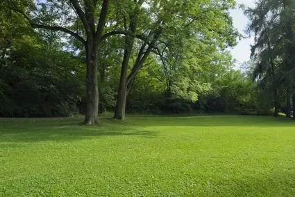 Expert yard maintenance in Spicewood, TX by Above All Landscaping