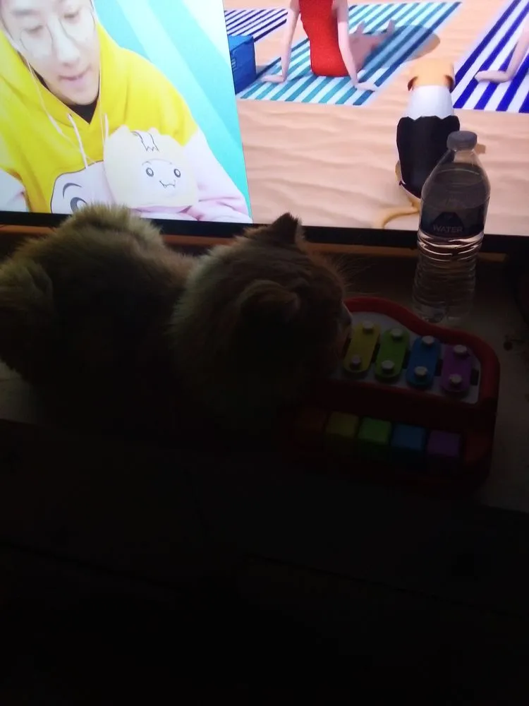 Affordable garden landscaping in West Chester, OH by Above All Lawn Care