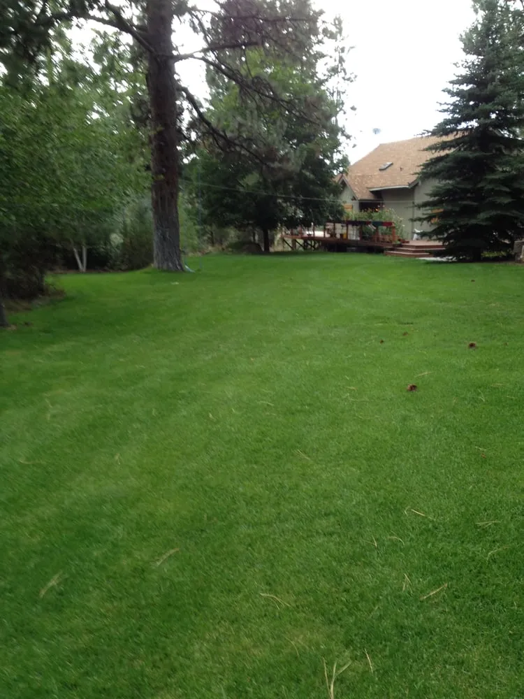 Reliable landscaping services for year-round maintenance in Bend, OR by Above All Lawn Service
