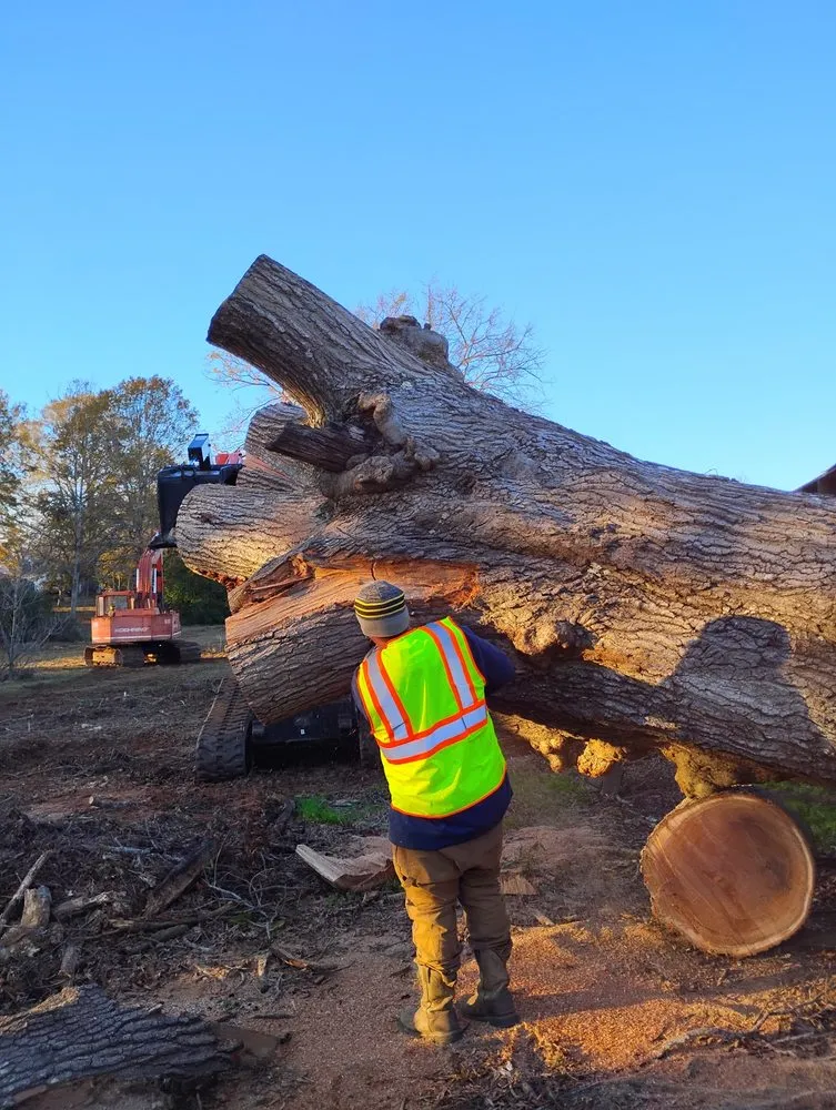 Trusted yard maintenance experts serving Ninety Six, SC - Above All Lawn Services