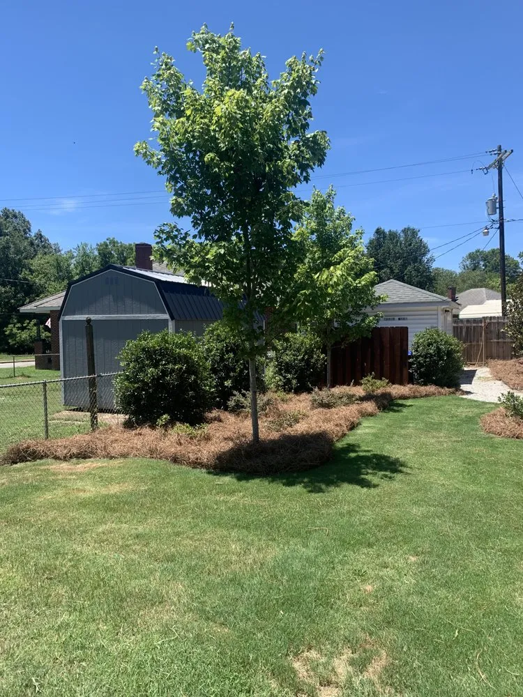 Professional lawn mowing service experts serving Ninety Six, SC - Above All Lawn Services