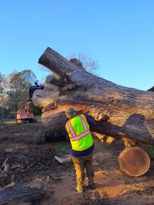 Above All Lawn Services