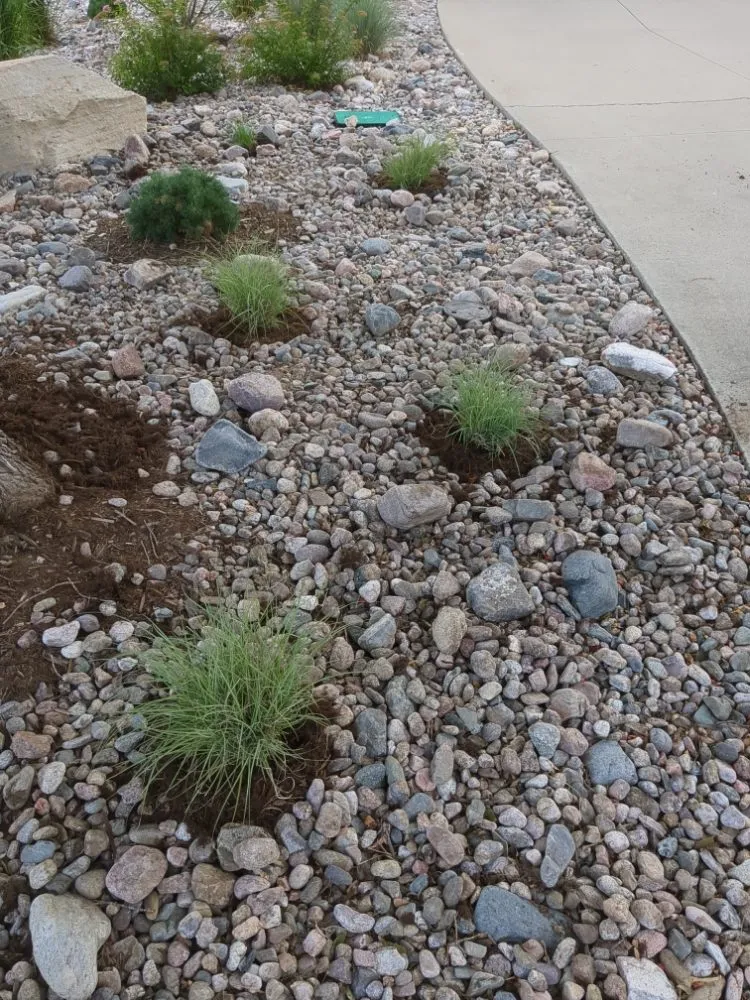 Custom residential landscaping for homes across Evans, CO - Above All Other Services