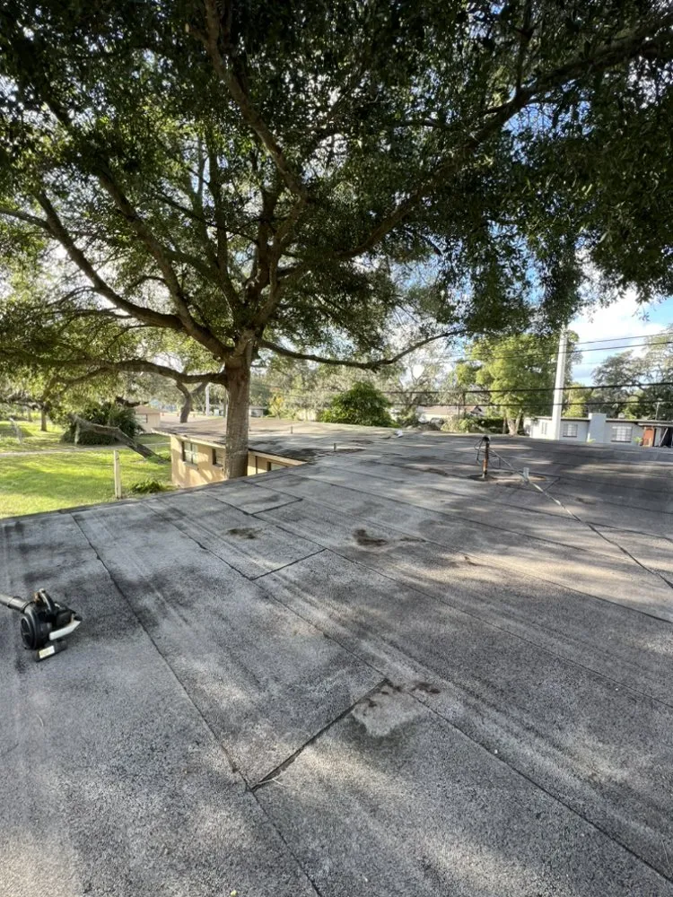 Reliable landscape installation for outdoor upgrades in DeLand, FL by Above All Services