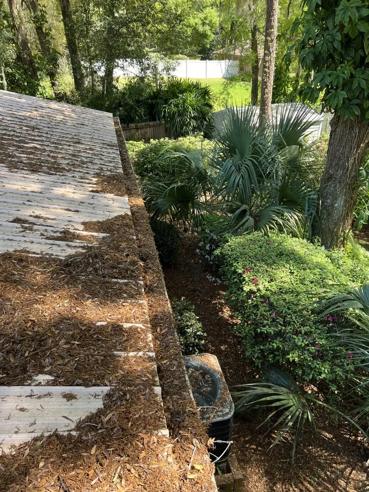 Custom yard cleanup service experts serving DeLand, FL - Above All Services