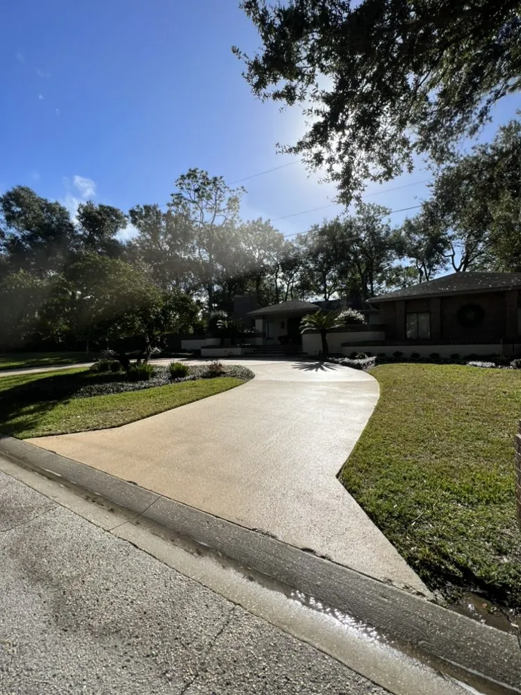 Trusted yard cleanup service experts serving DeLand, FL - Above All Services