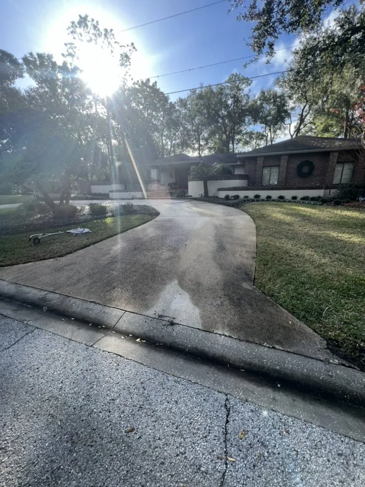 Custom landscaping services experts serving DeLand, FL - Above All Services