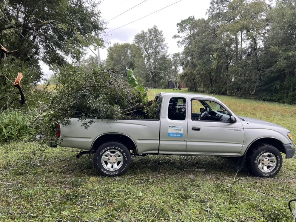 Trusted landscaping services for beautiful yards in DeLand, FL by Above All Services