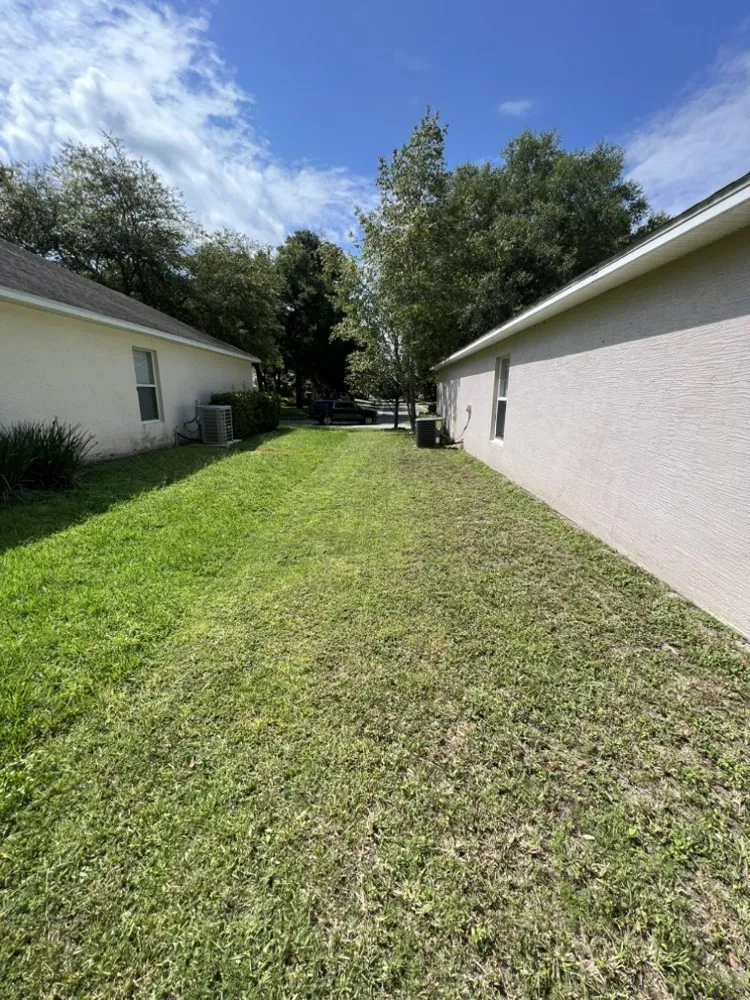 Professional yard maintenance in DeLand, FL - Above All Services