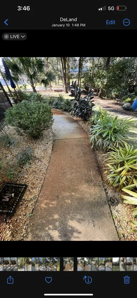 Top-rated lawn mowing service in DeLand, FL - Above All Services