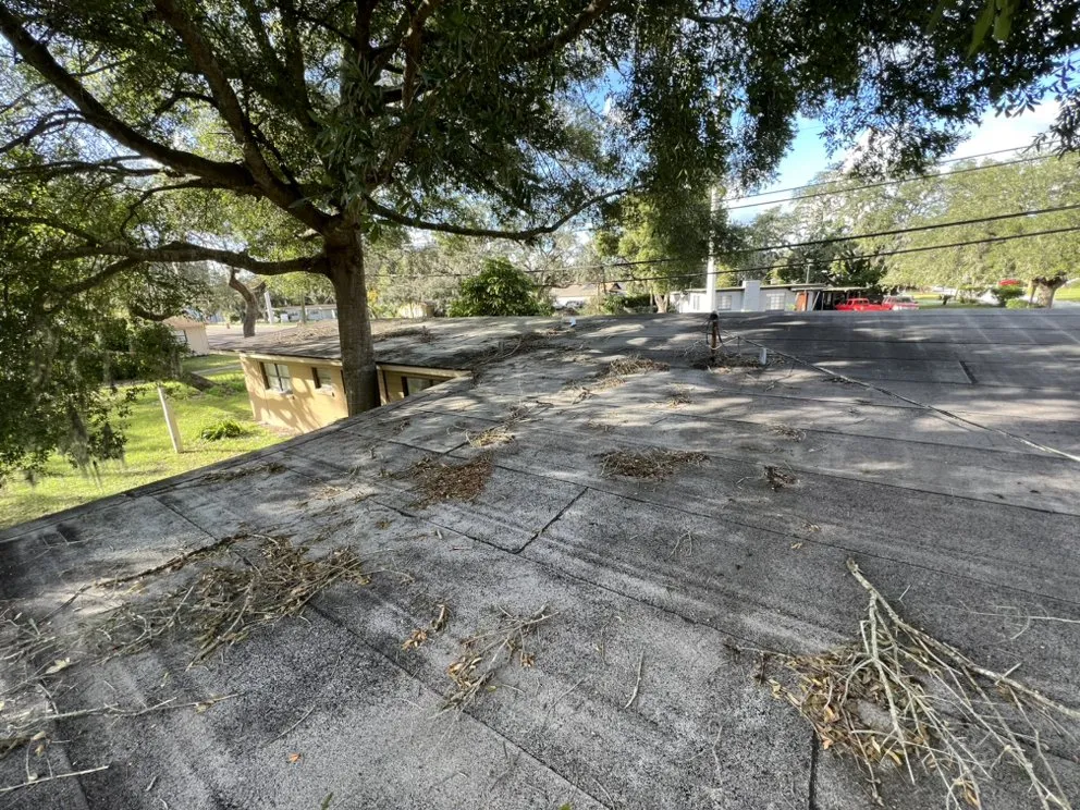 Top-rated landscape installation in DeLand, FL by Above All Services