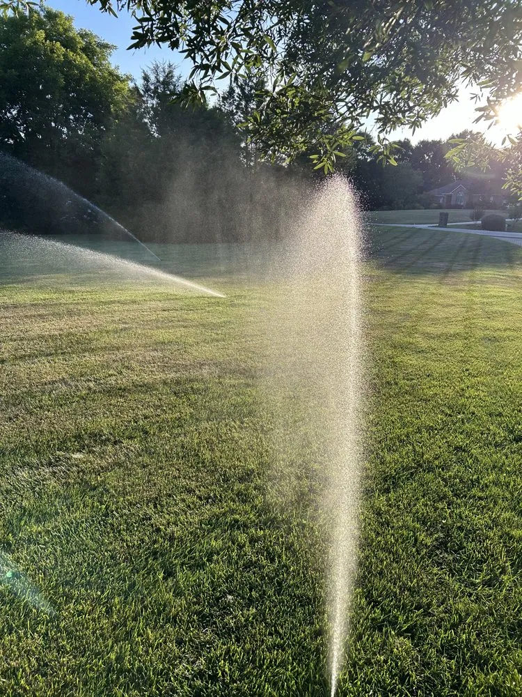 Local yard cleanup service in Concord, NC by Above All Sprinklers Landscapes & Drains
