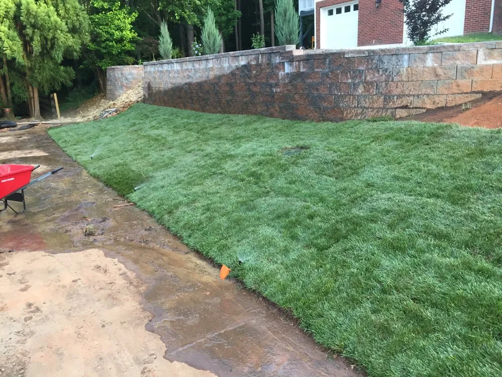 Top-rated yard maintenance in Concord, NC by Above All Sprinklers Landscapes & Drains