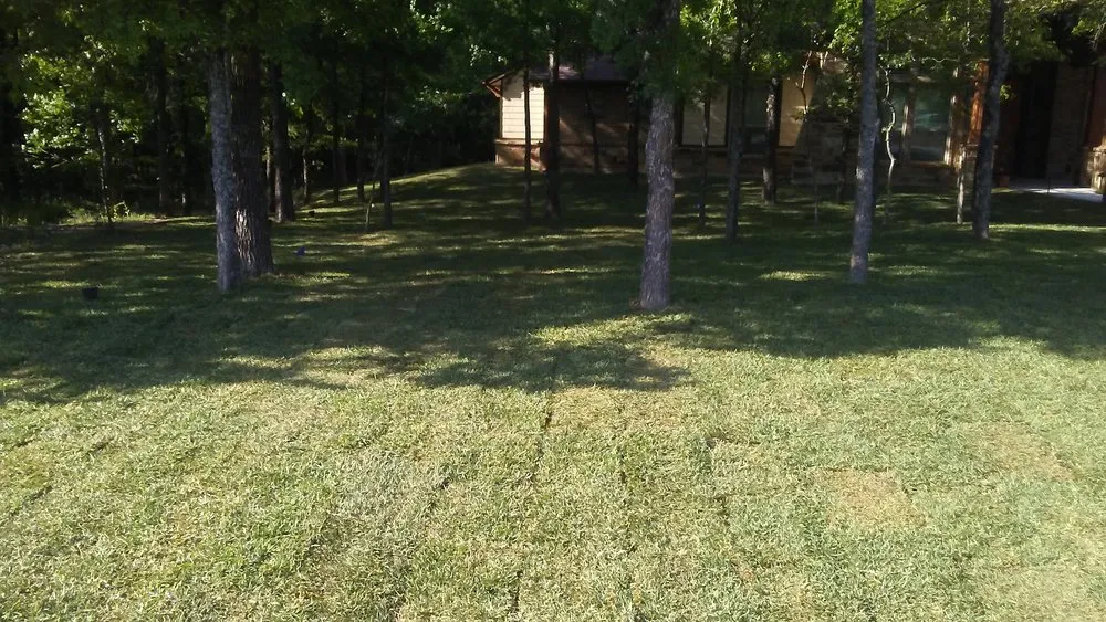 Custom yard maintenance in Concord, NC by Above All Sprinklers Landscapes & Drains