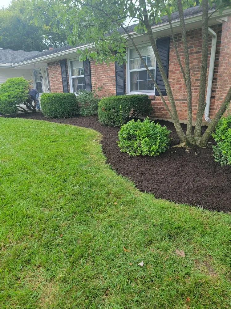 Professional yard cleanup service for year-round maintenance in Dayton, OH by Above All The Rest Property Management