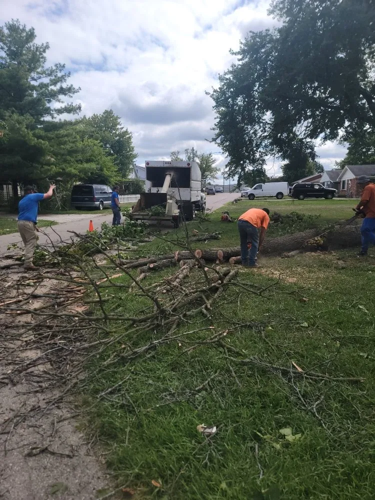 Professional yard cleanup service for homes in Dayton, OH by Above All The Rest Property Management