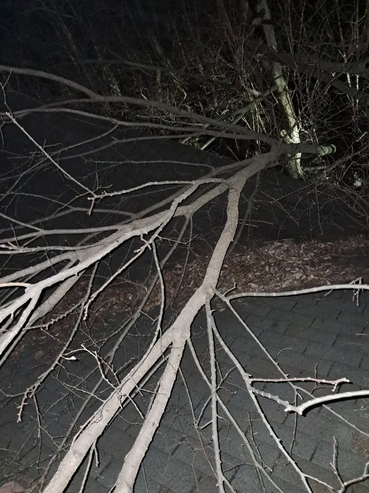 Local yard maintenance in Dayton, OH by Above All The Rest Property Management