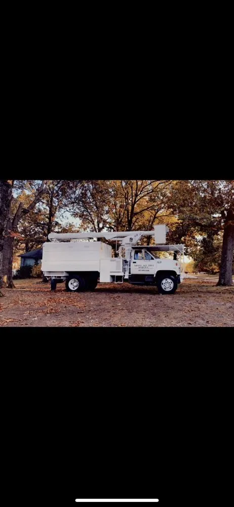 Custom landscape design for residential properties in Joplin, MO by Above All Tree Service