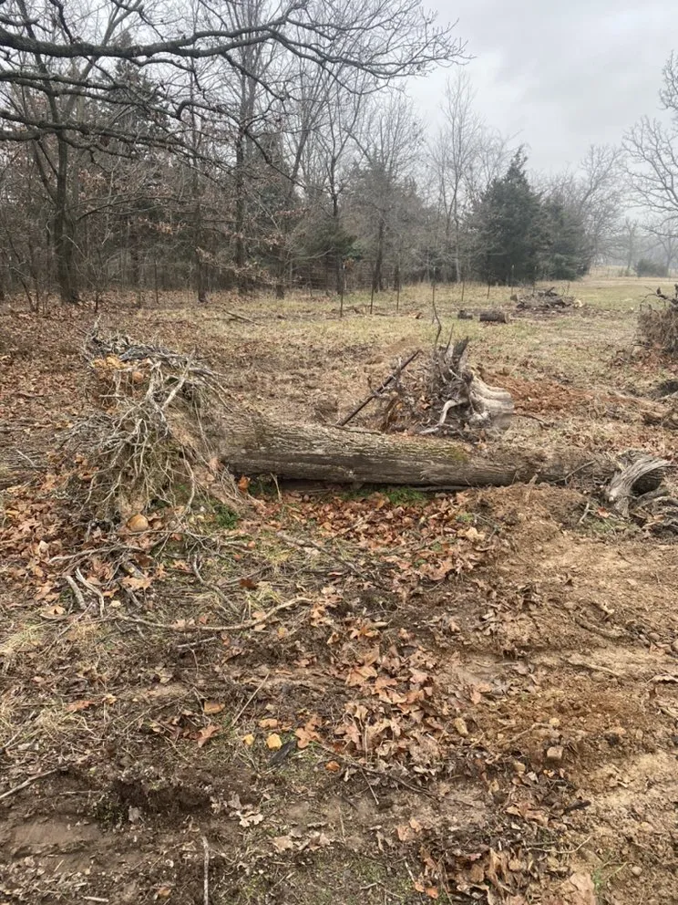 Reliable outdoor landscaping in Joplin, MO by Above All Tree Service