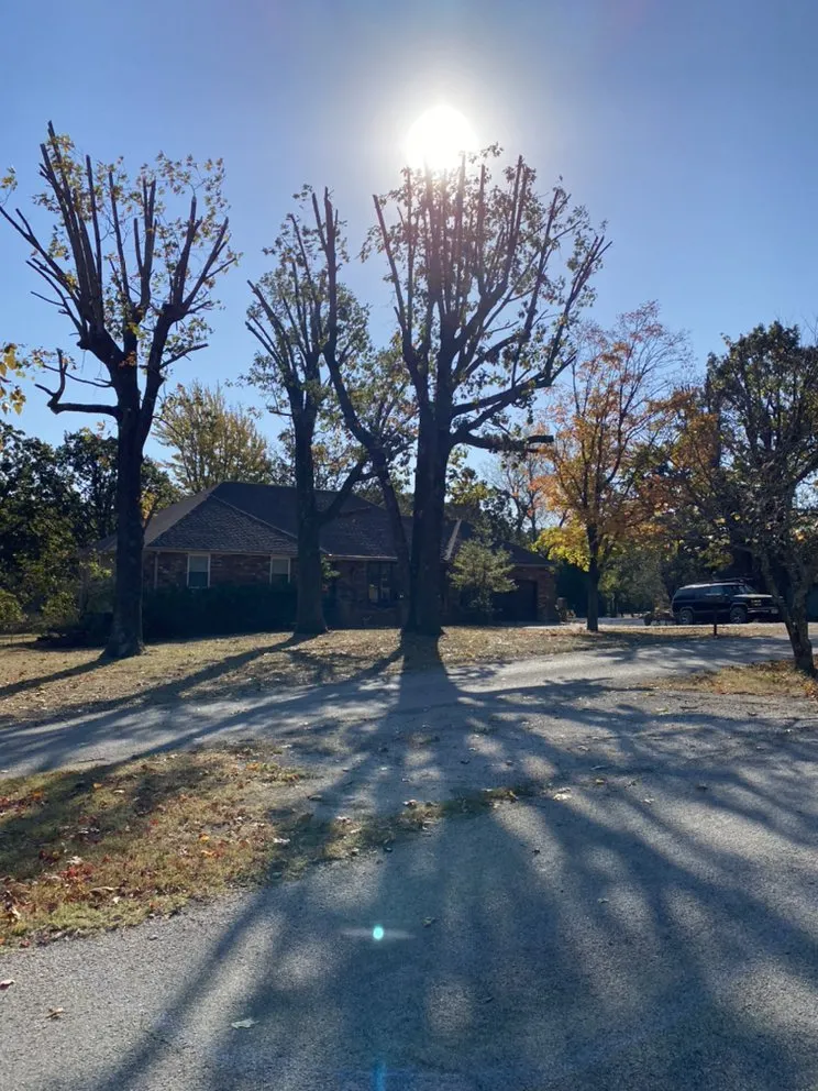 Expert lawn mowing service in Joplin, MO - Above All Tree Service