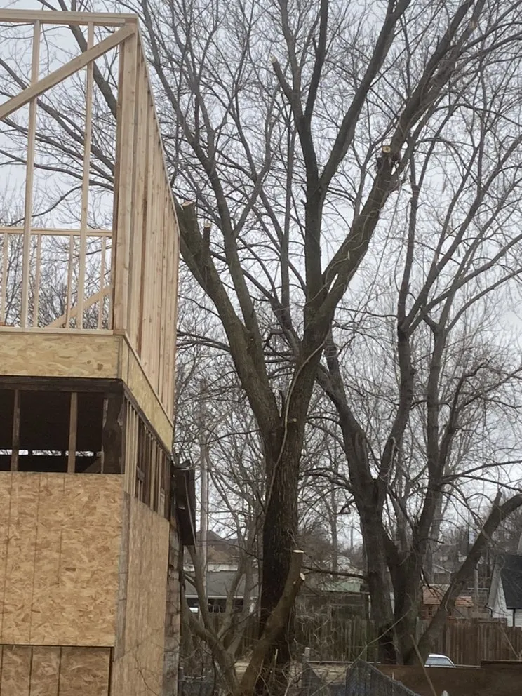 Professional yard maintenance experts serving Joplin, MO - Above All Tree Service