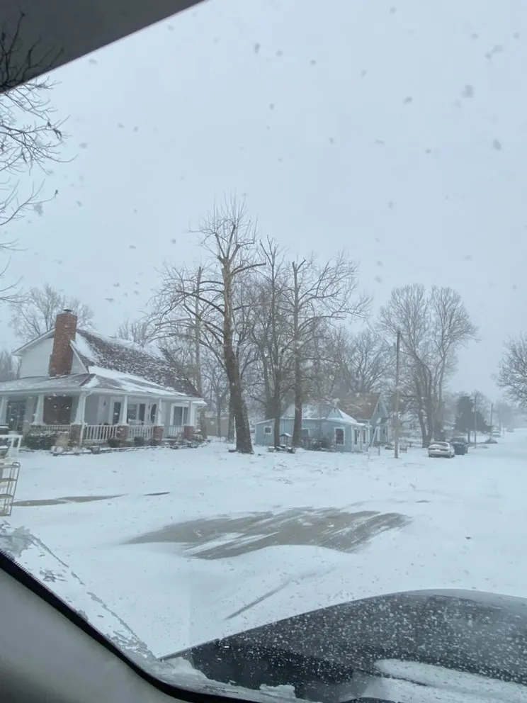 Expert lawn care service in Joplin, MO by Above All Tree Service