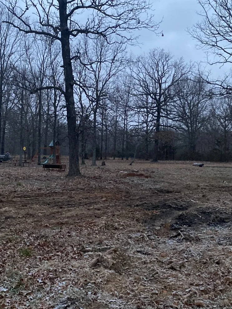 Professional garden landscaping in Joplin, MO by Above All Tree Service