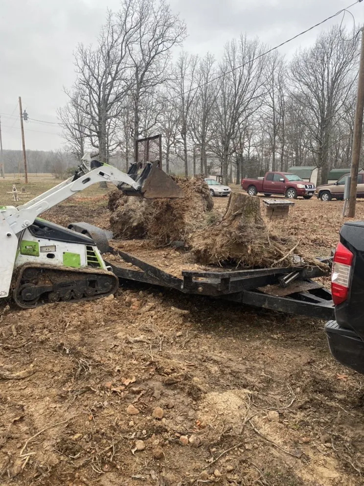 Affordable landscape design for year-round maintenance in Joplin, MO by Above All Tree Service