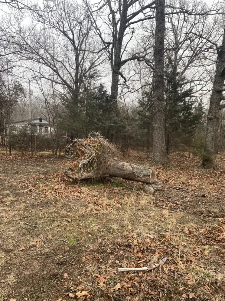 Local landscaping services in Joplin, MO - Above All Tree Service