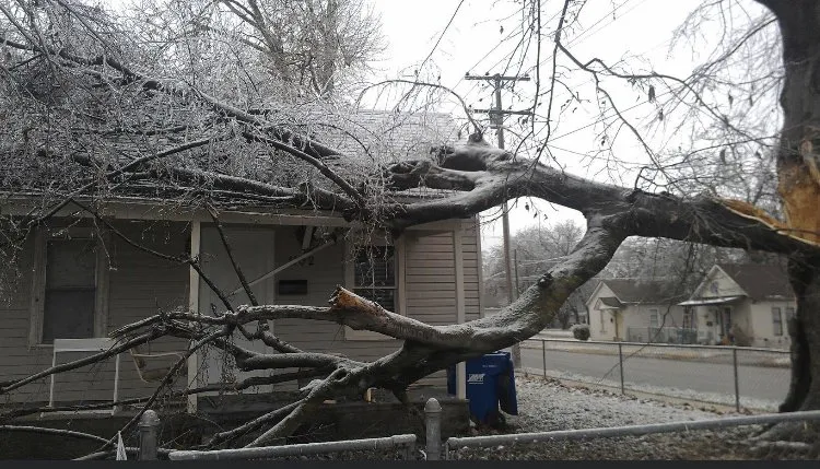 Trusted landscaping services in Joplin, MO by Above All Tree Service