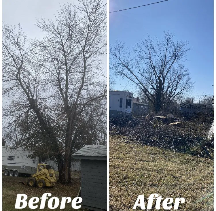 Expert landscaping services near you in Joplin, MO by Above All Tree Service