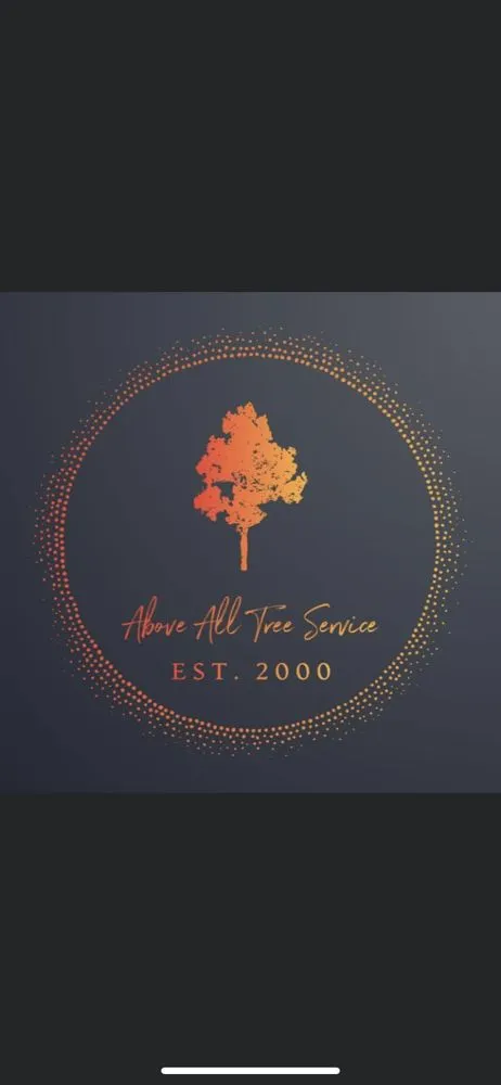 Expert lawn care service for outdoor upgrades in Joplin, MO by Above All Tree Service