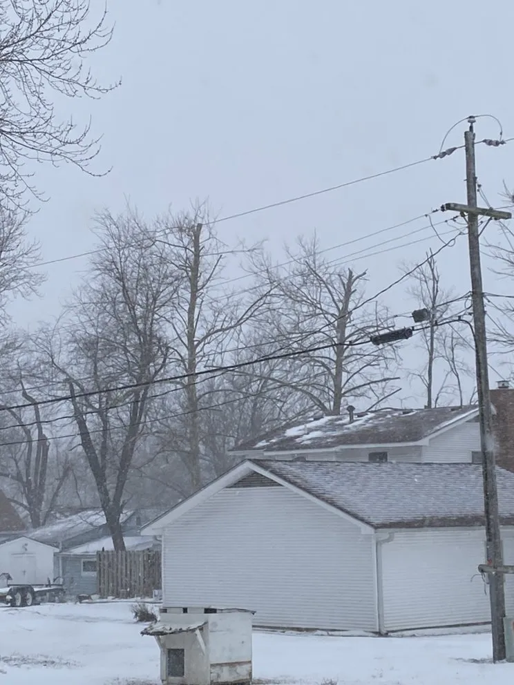Local landscape installation for homes in Joplin, MO by Above All Tree Service