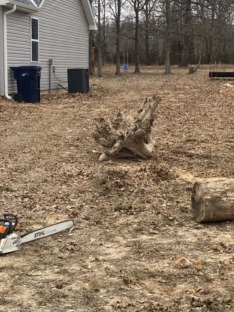 Professional landscape installation experts serving Joplin, MO - Above All Tree Service