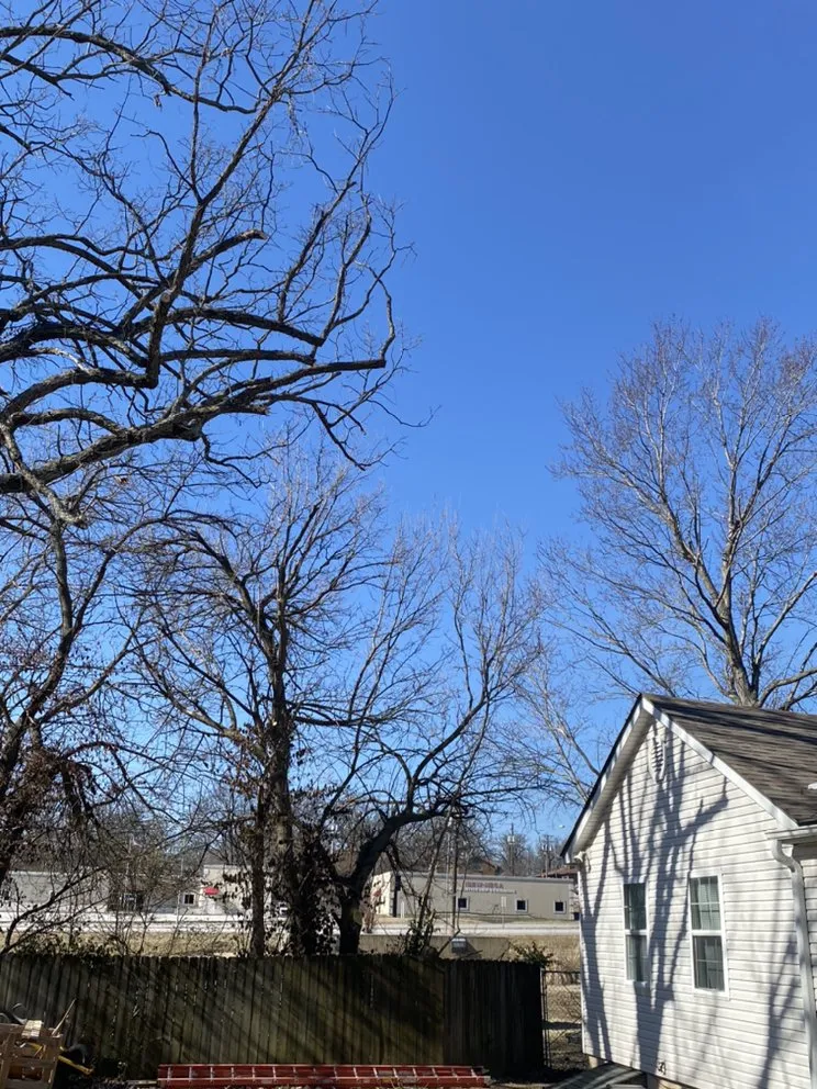 Professional lawn care service for residential properties across Joplin, MO - Above All Tree Service